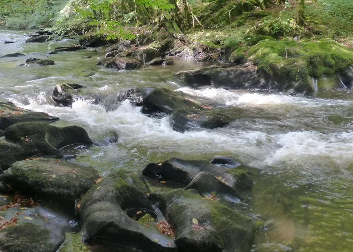 Au Fil De L\'Eau