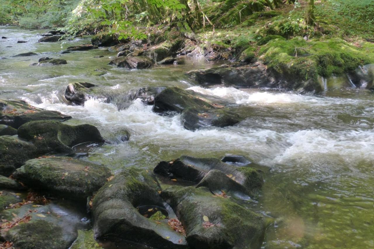 Au Fil De L'eau Affittacamere Grupont