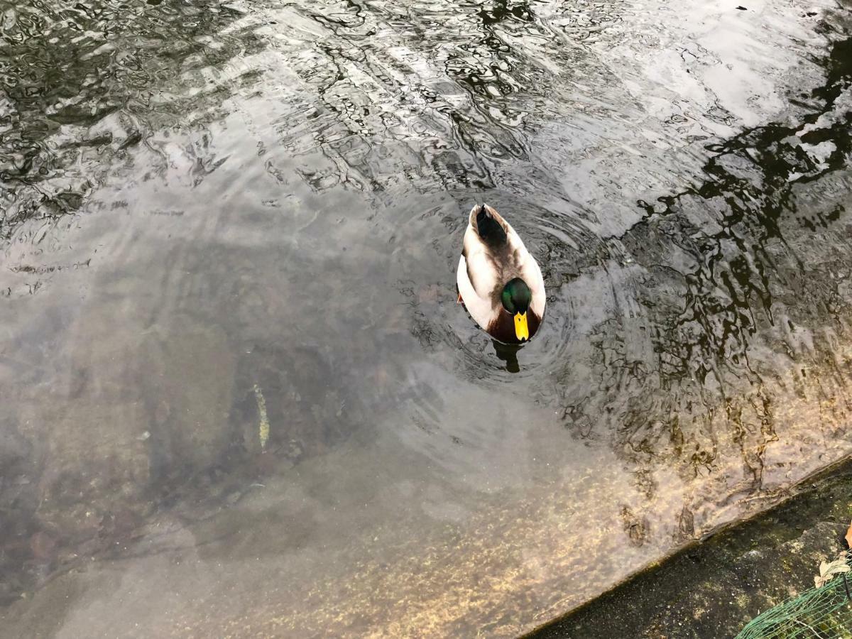 Affittacamere Au Fil De L'eau